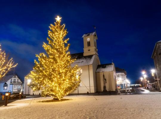 Christmas tree at Austurvöllur.