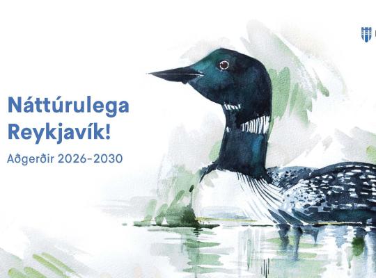 Cover illustration of a duck