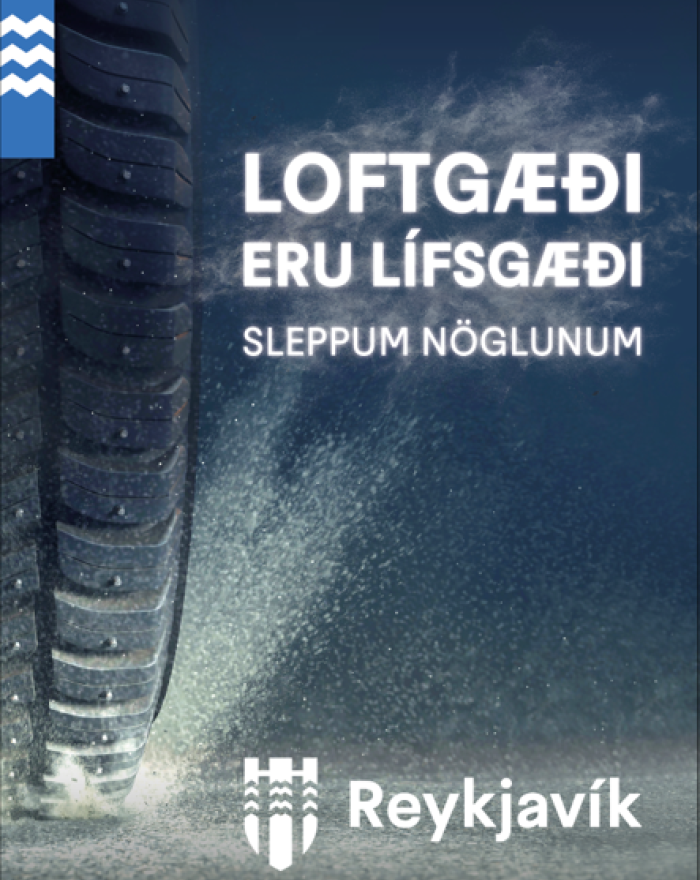 Nagladekk 2024