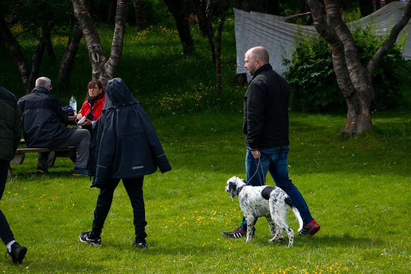 Fólk gengur með hundinn sinn í Hljómskálagarðinum