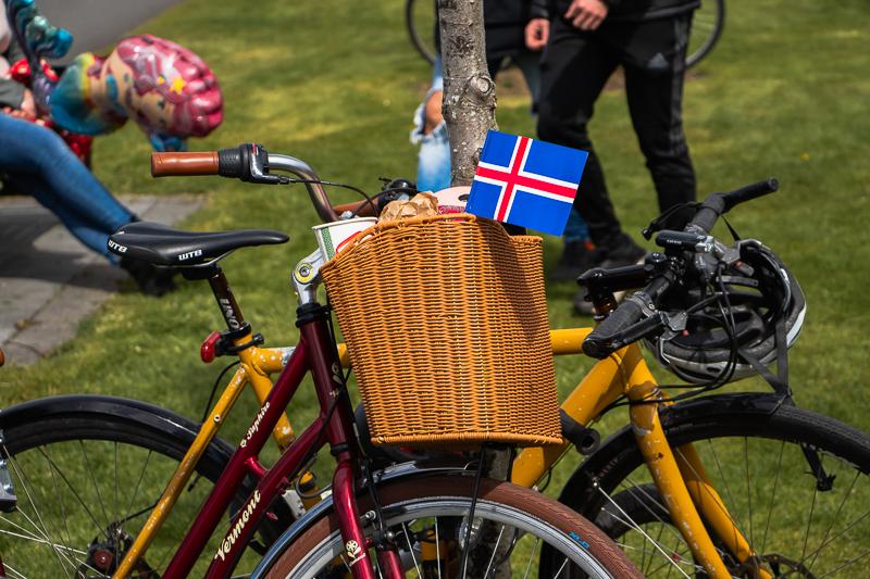 Ljósmynd af reiðhjóli í Hljómskálagarðinum