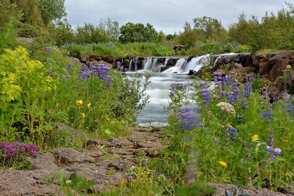Foss í Elliðaá.