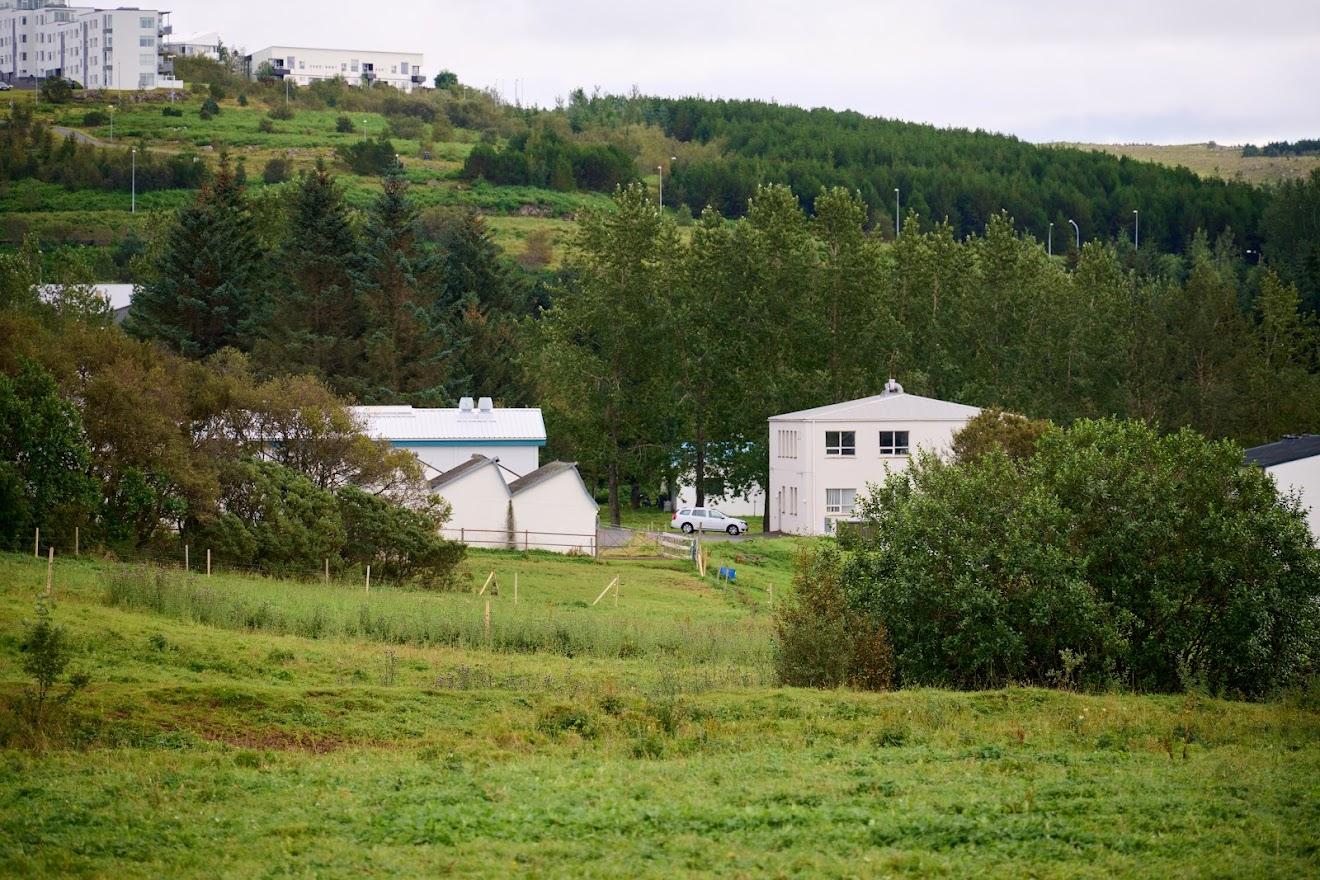 Hús og gróður á Keldum.