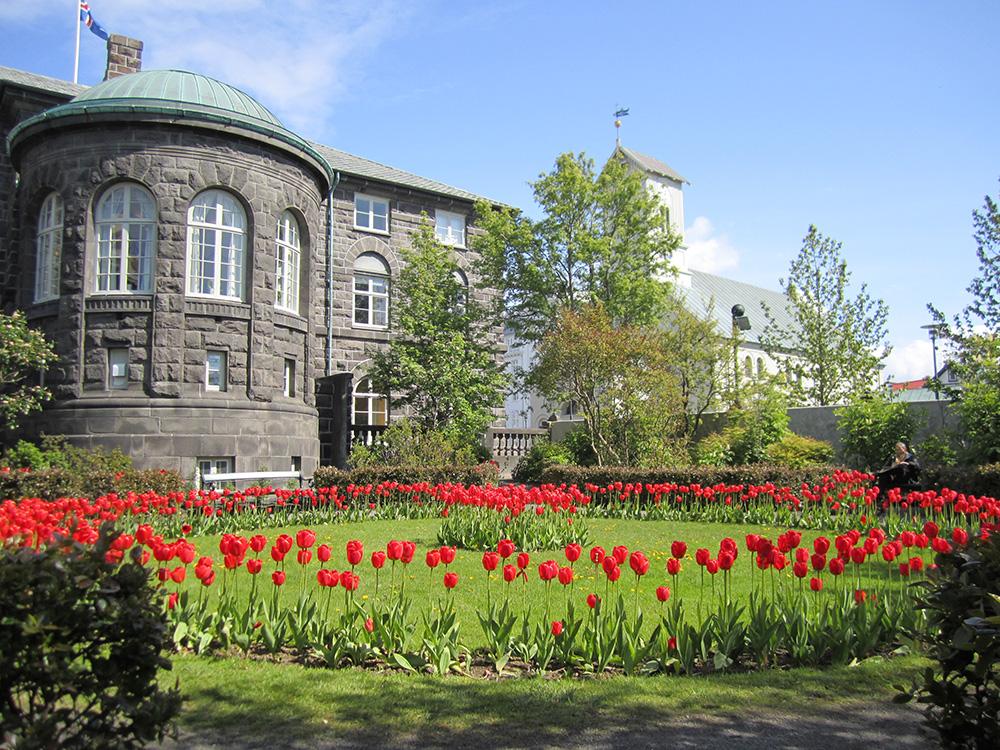 Alþingisgarðurinn í blóma