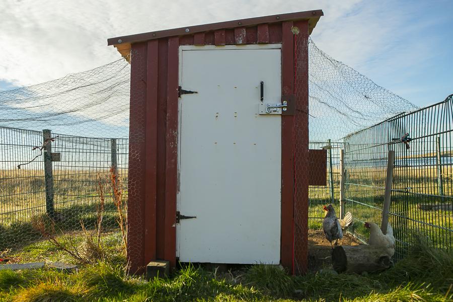Chicken coop on the grounds of Berg.