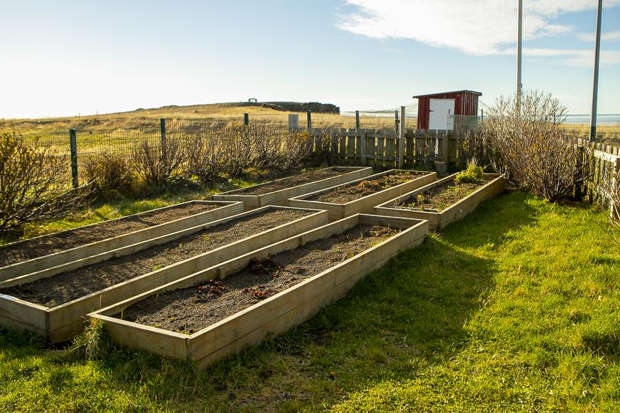 Garden beds on the grounds of Berg.