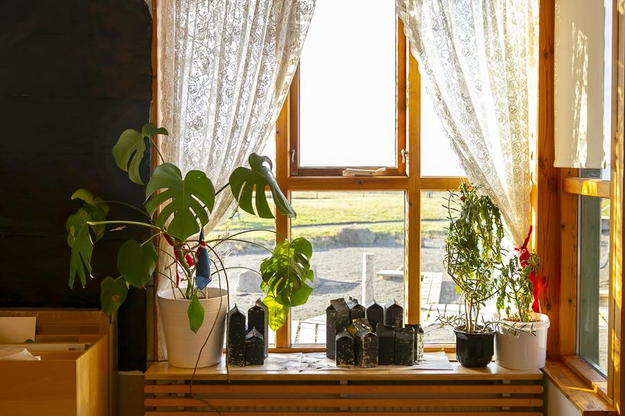 Flowers in the window at Berg.