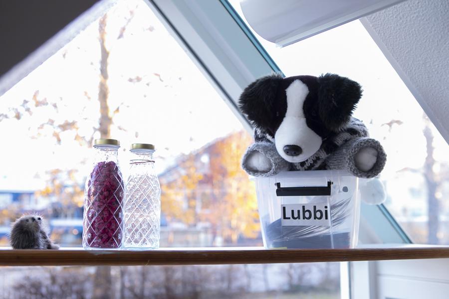 Plush toy in a plastic box labeled Lubbi. Two glass bottles and a large window.