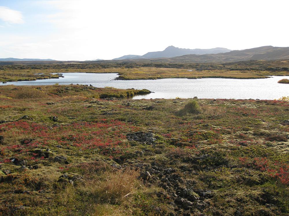 Heiðmörk