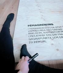Þemagreining.