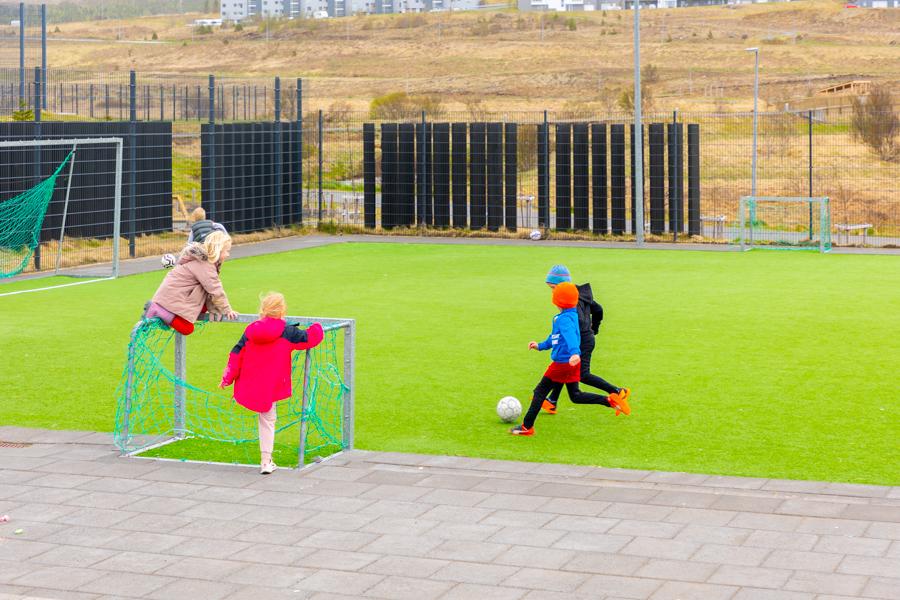 Children playing soccer on an outdoor grass field. Other children stand and sit by the goal watching.
