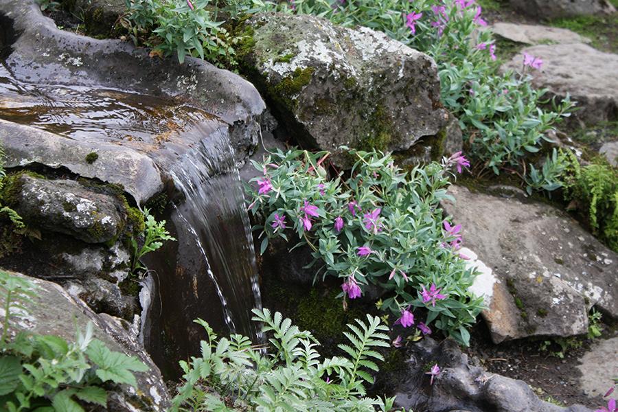 Photo of flowers and stones at the Botanic Garden