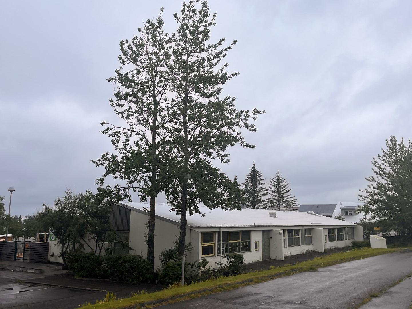 Suðurhlið júlí 2024