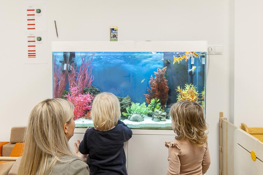Ævintýraborg Preschool in Vogabyggð