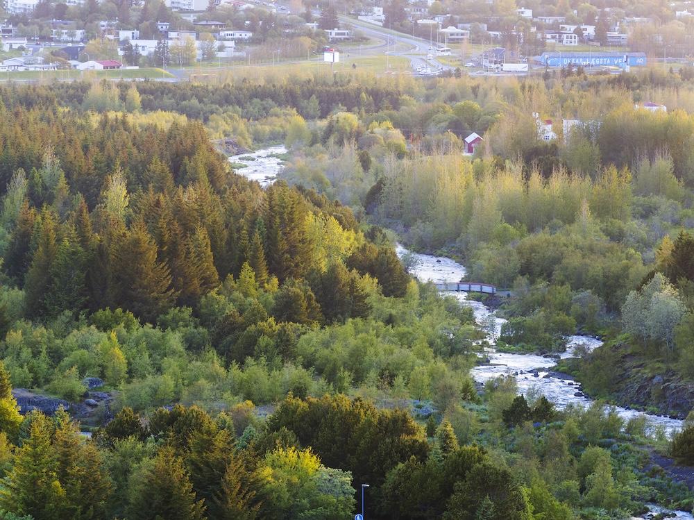Overview image of forest vegetation and rivers.