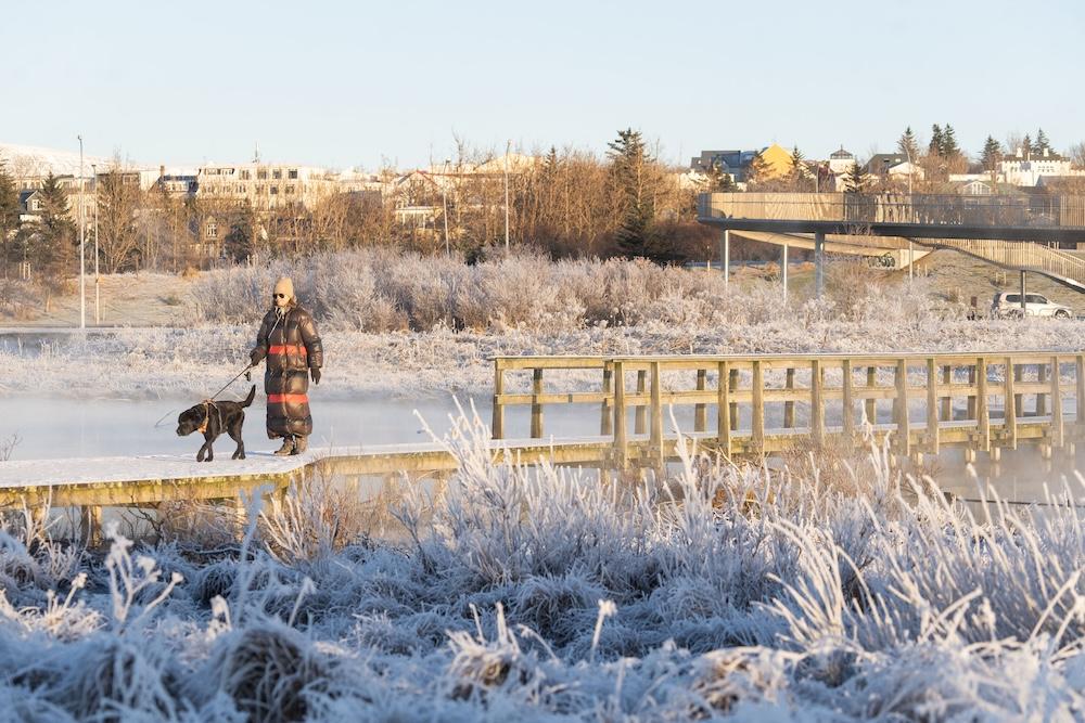 A person walking a dog in winter.