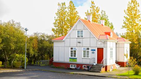 Leikskólinn Steinahlíð með há lauftré í baksýn