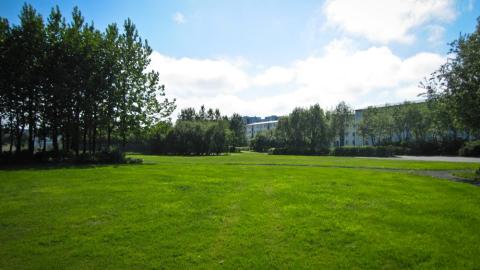 Almenningsgarður í Efra Breiðholti.