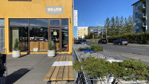 Bekkir og gróður á Laugalæk.