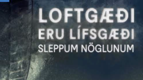Nagladekk 2024