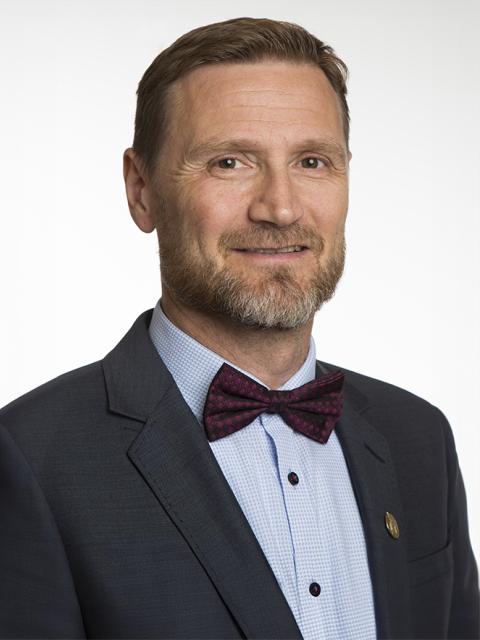Steinn Jóhannsson